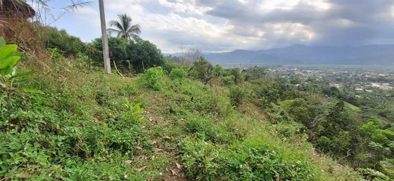 Vendo Vendo 120 Tarea De Tierra En Loma Buena En Hato Viejo De Yamasá, Rep.dom