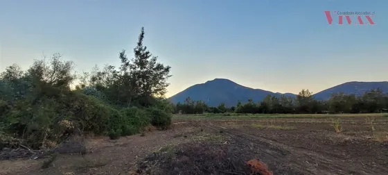 Agrícola En Venta En Putaendo