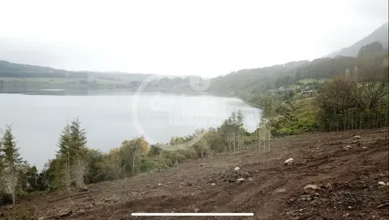 Sitio En Venta En Lago Riñihue, Los Lagos. 1a Linea Al Lago