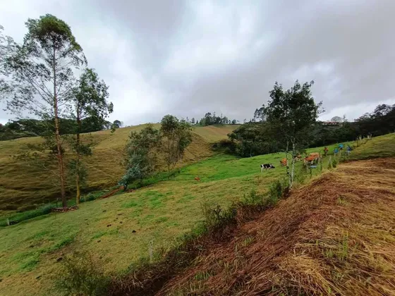 Venta De Lote En Vereda Quirama, El Carmen De Vivoral