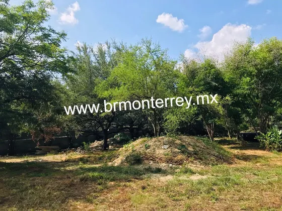El Uro Carretera Nacional Monterrey N L