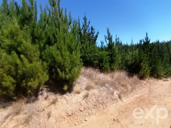Venta Terreno Agrícola En Pichilemu