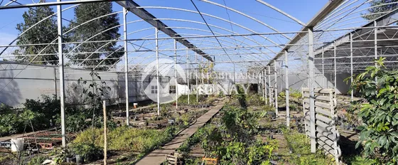 Alquiler Finca La Silleta 