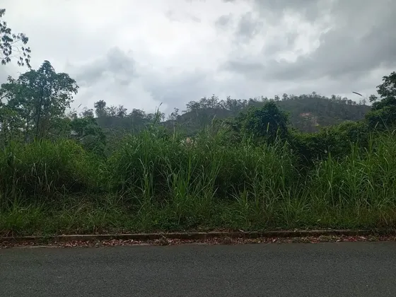 Terreno En Venta En Colinas De Carrizal