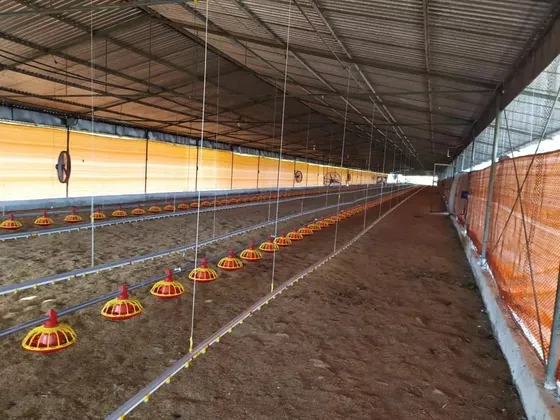 Granja Integral Productiva Avícola Y Ganadera Tinaquillo Edo. Cojedes Negociable Jm