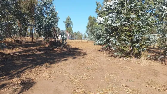 Terreno Construccion En Venta En Talca