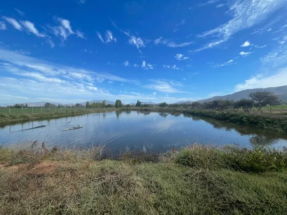Excelente Campo Con Agua Y Tranque (70093)