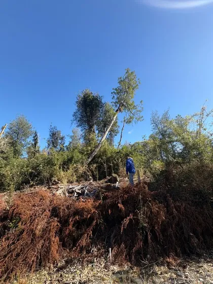 Parcela Quemchi, Loteo La Capitana