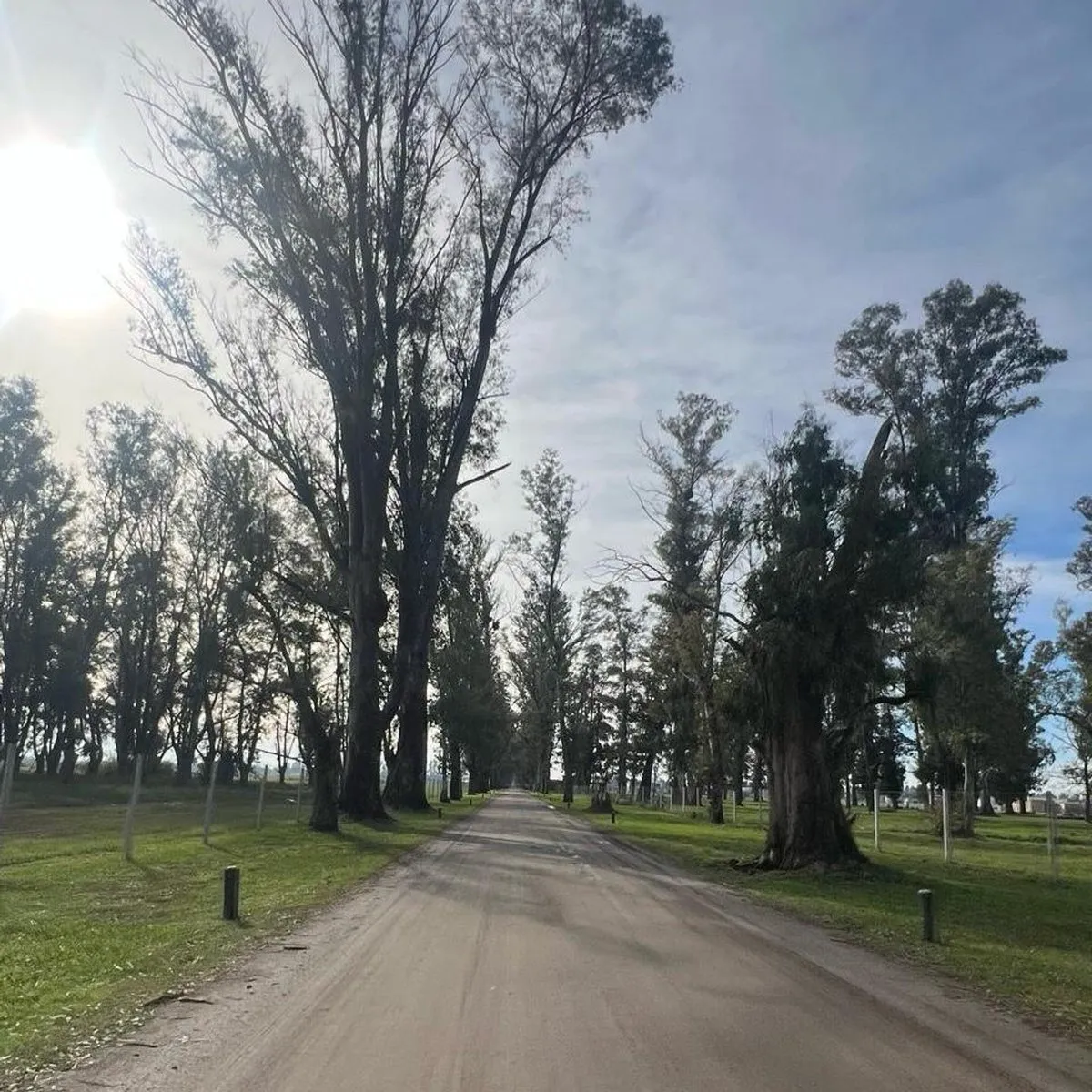 Lot for Sale in La Isabel Neighborhood, Tres Pinos