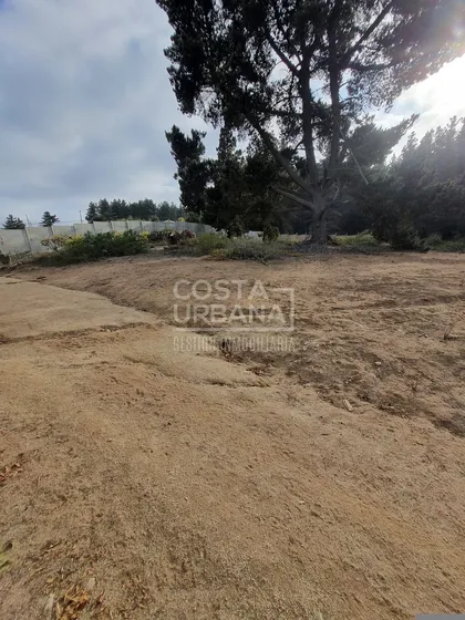 Terreno En Los Pinos