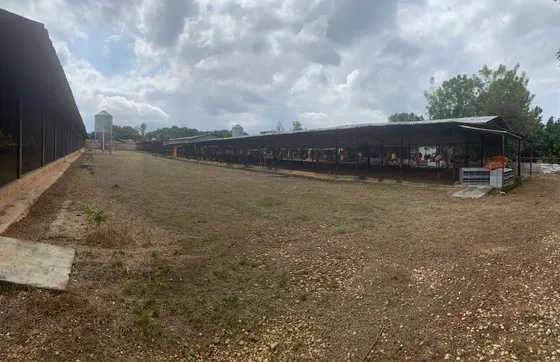Finca Granja Multipropósito En Venta En  Aguirre Fd-035