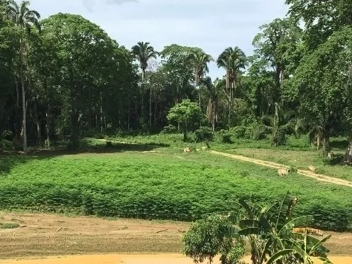 Venta Finca Yaguapita Acevedo Miranda Con Proyecto Piscicola