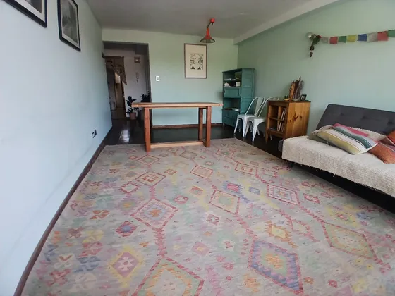 Departamento 2d Villaseca 2b/límite Con Providencia