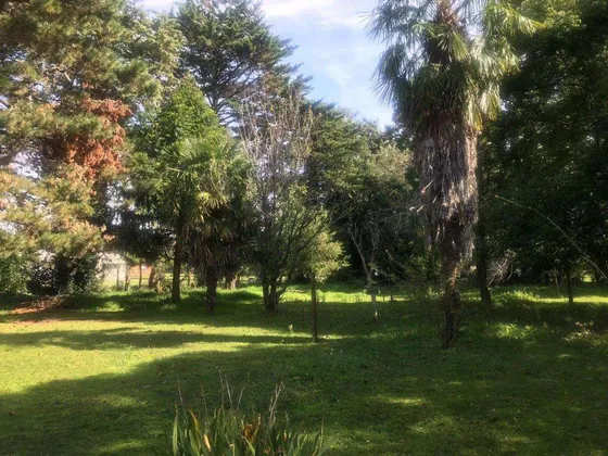 El Sosiego Lote 4.426 M2