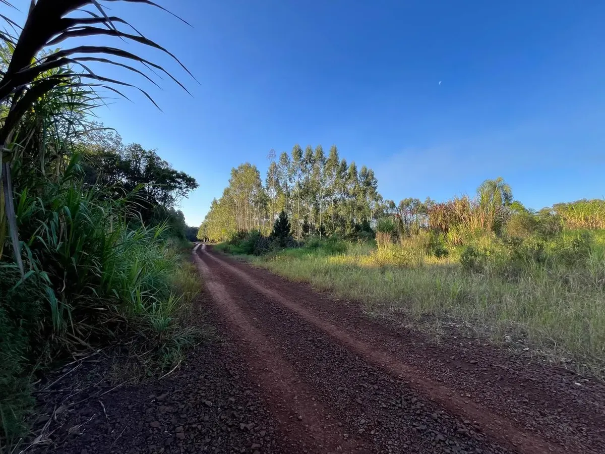Great Launch! Bernal Land Development, Km 10 of Eldorado – Misiones
