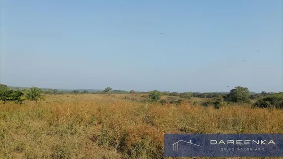 Terreno En Venta En Tuxtepec 141has