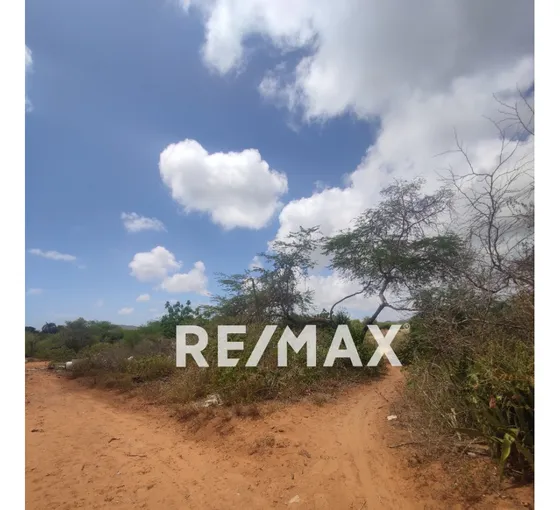 Terreno En Los Cerritos, Los Robles, Isla De Margarita Cod: 1207