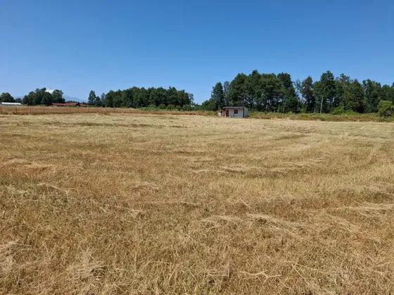 Vendo Parcela 5mts2 Con Cabaña Villarrica Sector Vida Nueva
