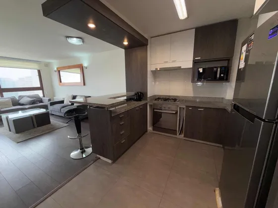 Venta Lindo Departamento Moderna Arquitectura En Concon