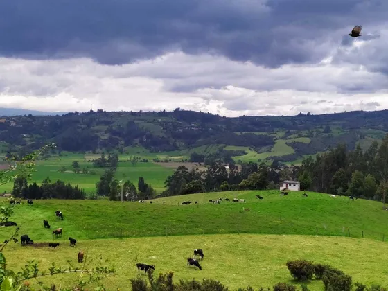 Vende Lote Sotaquirá Boyacá