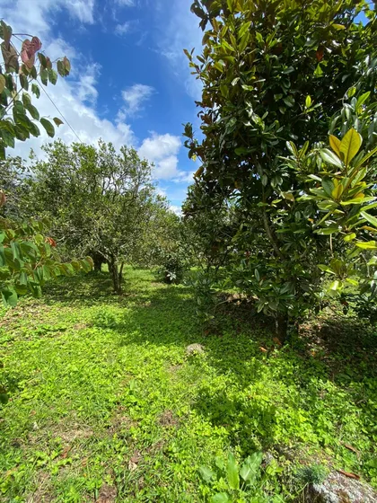  Lotes Campestres De 2.000 M² En Exclusivo Condominio Privado En Cachipay  Naturaleza, Tranquilidad Y Clima Perfecto.