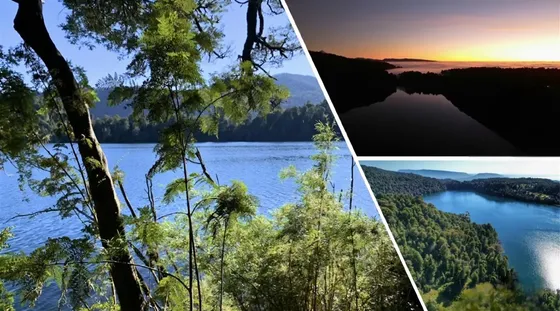 Sitio En Venta, Parque Nacional Puyehue, En Osorno