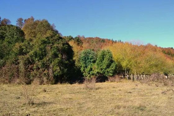 Plot For Sale In Remax Cordillera