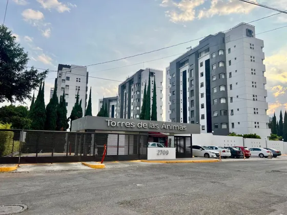 Departamento En Renta En Las Ánimas
