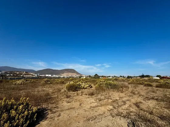 Se Venden Terrenos En El Panul