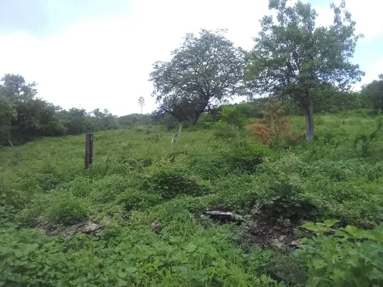 Terreno En Venta 2,000m2, Zacatepec, Morelos, Méx.