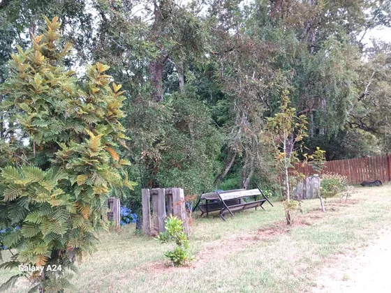 Parcela Plana Sector Cayumapu 1.580 Uf
