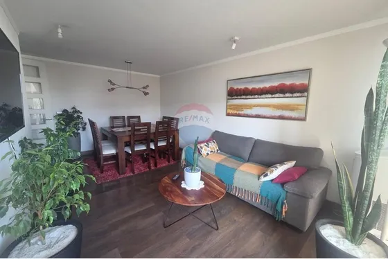 Venta Pedro Torres 260 2d+2b+est+bod