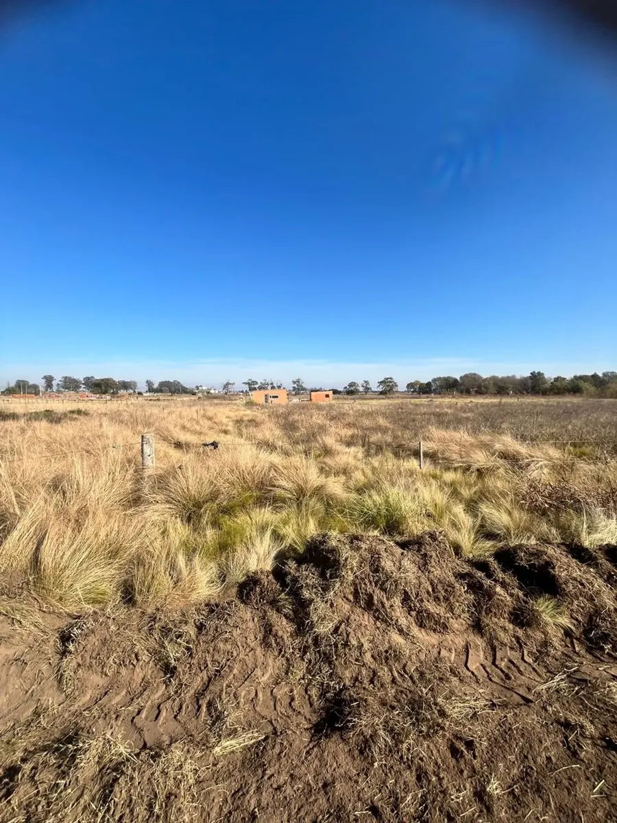 Dr. Sanchez Land Plot - Anguil