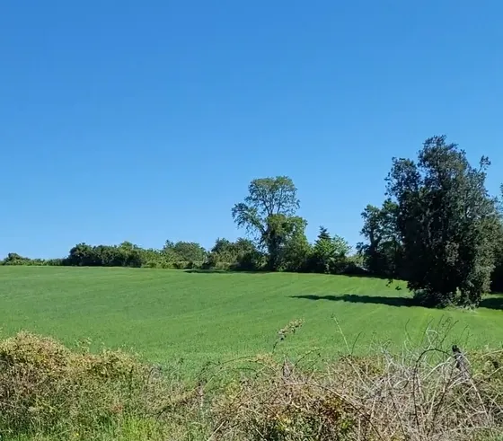 Parcela De Ensueño A 15 Minutos Del Lago 