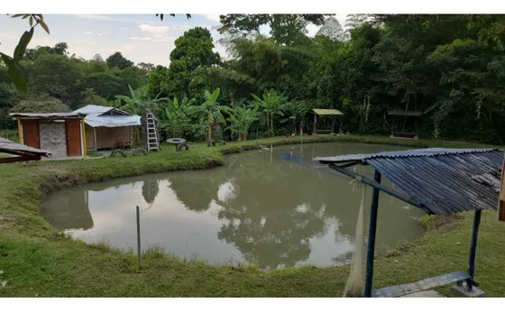 Venta Casa Finca Productiva Con Dos Lagos De Pesca