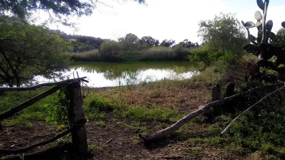 Terreno En Venta En Los Olvera