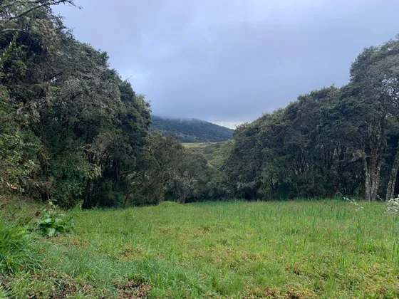 Finca Productiva