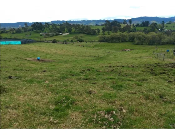 Finca En Venta La Unión Antioquia 12 Cua