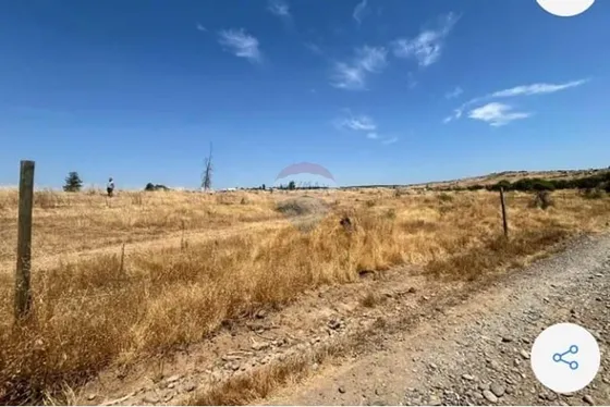 Parcela Tranquila: 5000m² En Cauquenes