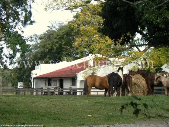 Estancia Benquerencia Farm Club - Chacra 339 (3.4ha) , Monte, Pcia. Bs. As. 