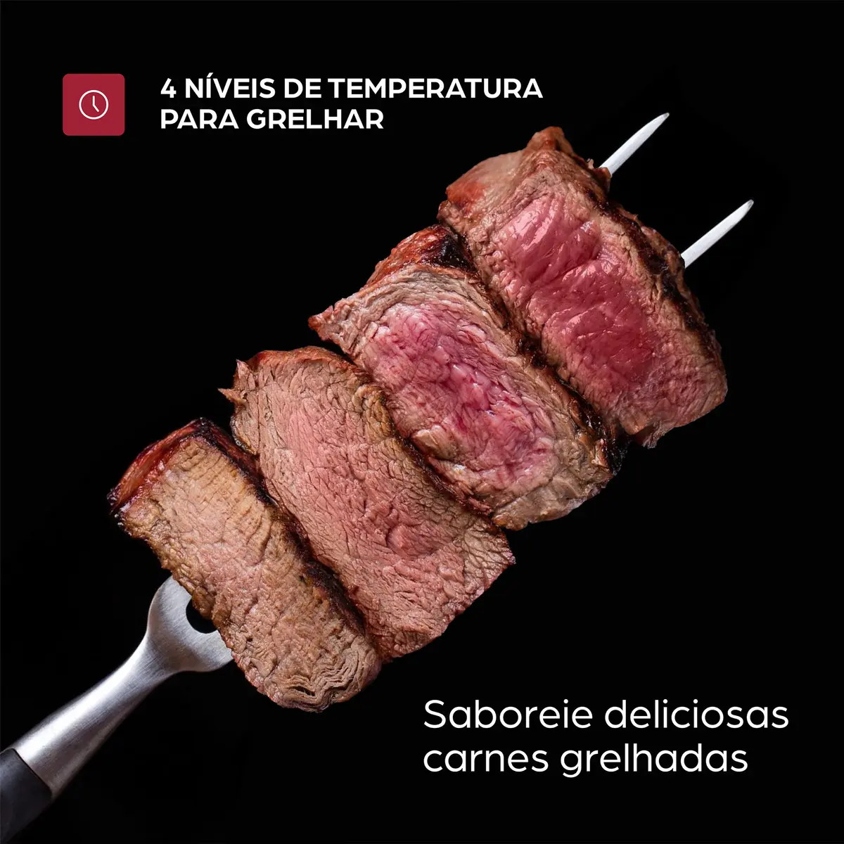 Espeto com quatro cortes de carne vermelha em diferentes pontos de cozimento para demonstrar os 4 níveis de temperatura de grelha.