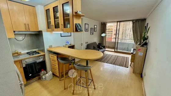 Providencia Departamento En Arriendo