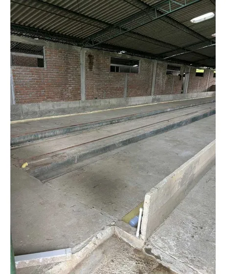 Bodega En Arriendo En Filandia Para Cultivo O Almacenamiento