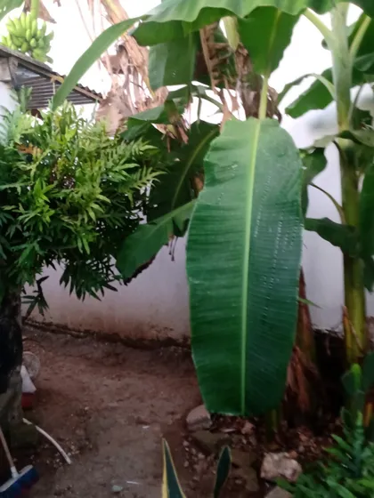 Se Vende Casa Lote Comercial 
