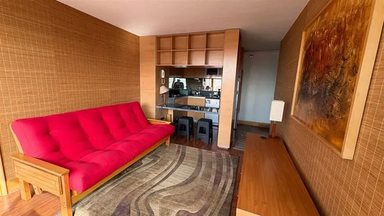 Departamento Mariposa En Arriendo De 2 Dorm Providencia