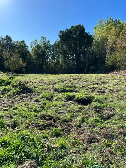 Gran Oportunidad Compra Tu Parcela De 5.000 M2