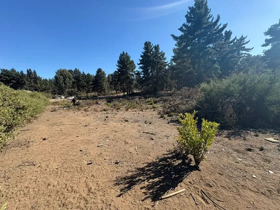 Reñaca, Los Pinos, Sitio 1600 M2, Plano, Acceso A Luz Y Agua