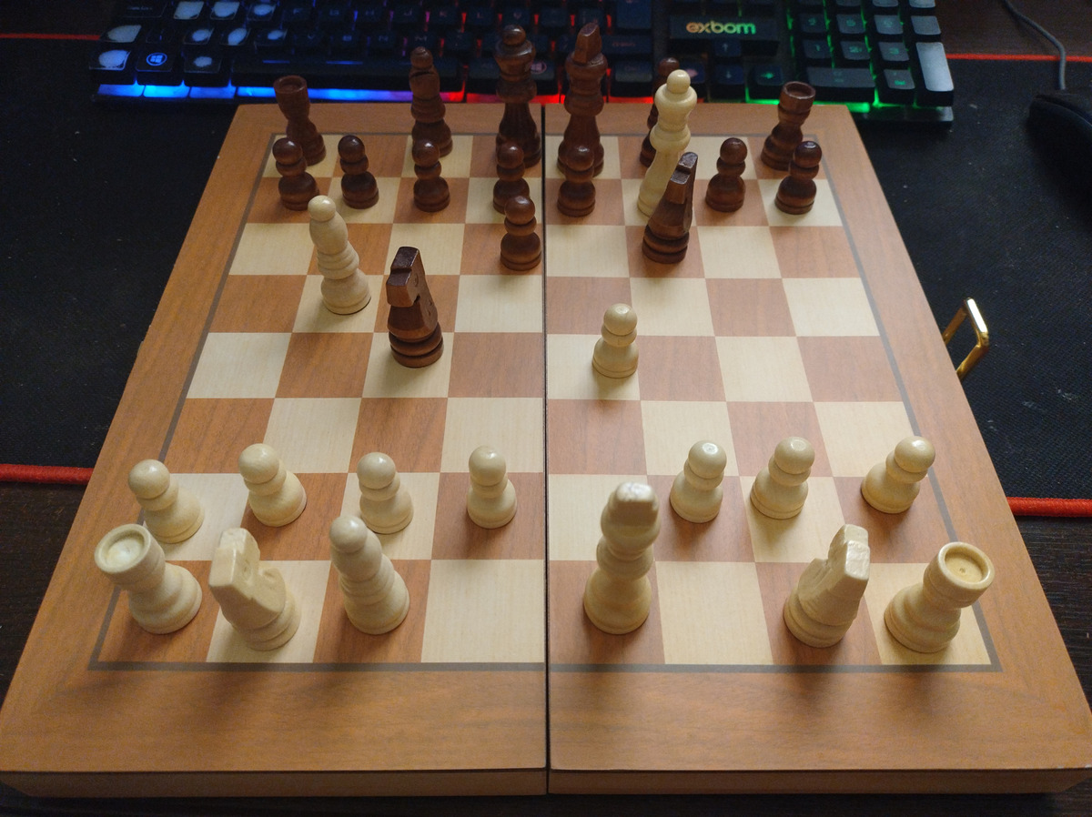 Jogo De Xadrez E Damas Profissional 2 Em 1 Hoyle Games