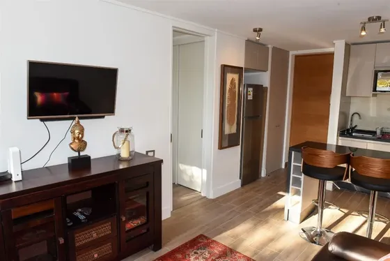 Departamento Arriendo 1 Dorm Clinica Las Condes Las Condes