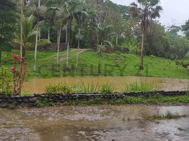 Finca En Venta Las Lapas